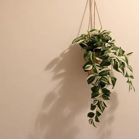 Apartmán Mare Luna - Nel Centro Storico Di